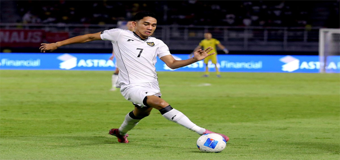 Bisa Bela Timnas Indonesia